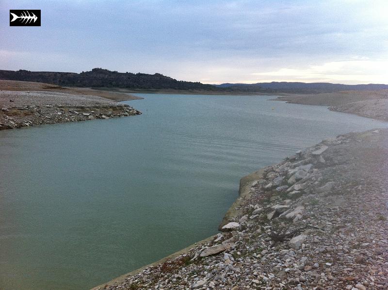 2012-11-08 001 2012-10-25 001.jpg
